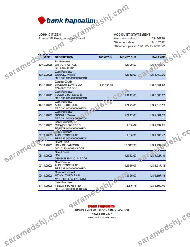 Israel Hapoalim bank statement Excel and PDF template